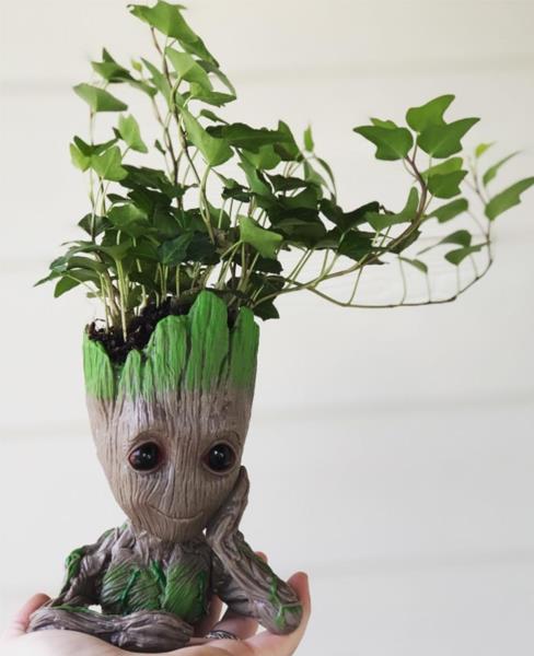 Handmade tree-man planter with trailing ivy, held in hand