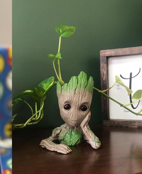 Handmade tree-man planter with trailing pothos vine on a shelf