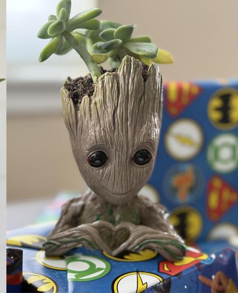 Handmade tree-man planter with a green succulent on top